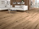 STN Springwood Miel Rectified 23x120