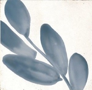 Marazzi Rice Bianco Decoro Blossom Lux 15x15 M9JA płytki cegiełki      