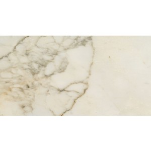 Fioranese Prestige Borghini Effect Polished 30x60 M3362LR płytki gresowe 