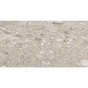 Fioranese Frammenta Grigio Chiaro Matt  60,4x120,8 CG623R płytki lastryko gresowe  