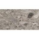 Fioranese Frammenta Grigio Scuro Polished 60,4x120,8 CG627LR