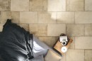 Fioranese Heritage Ivory 40,8x61,4 HE461