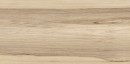 Fioranese Frake Beige 60x120 SFF622R