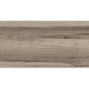 Fioranese Frake Tortora 60x120 SFF623R