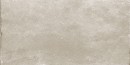 Fioranese Pietraviva Grigio Chiaro 40,8x61,4 PV463