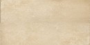 Fioranese Pietraviva Dorato 40,8x61,4 PV462