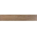 Ecoceramic Walkyria Oak Rect. 20x120