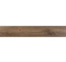 Ecoceramic Walkyria Fresno Rect. 20x120