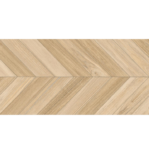 Vives Agadir-R Natural 60x120