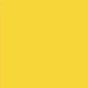 Vives Satinados Amarillo Mate 20x20 płytki ścienne   