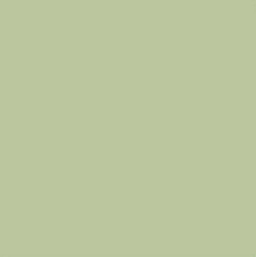 Vives Satinados Verde Mate 20x20