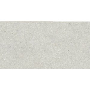 Baldocer Brunswich Ceniza 60x120 płytki betonowe gresowe 