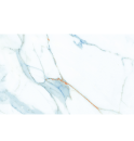 Azul Polished Rett. 59,7x119,7