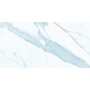 Azul Polished Rett. 59,7x119,7