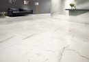 Calacatta Albatros Polished Rett. 60x120