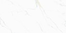 Classic Carrara Gold Polished Rett. 59,7x119,7