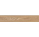 Italgraniti Allure Olmo Ambre 20x120