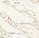 Italgraniti Marble Experience Calacatta Gold Polished 120x120