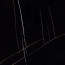 Italgraniti Marble Experience Sahara Noir Polished 80x80