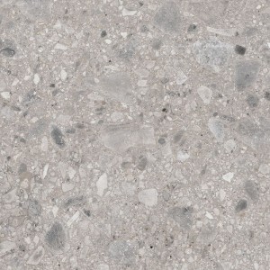 Ariana Futura Cenere Lappato 60x60 płytki lastryko gresowe