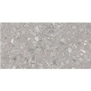 Ariana Futura Cenere Naturale 60x120 płytki lastryko gresowe