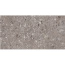Ariana Futura Tortora Naturale 60x120