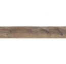 Ariana Legend Havana Naturale 20x120