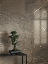 Cercom Amaranto Brown Naturale 60x120