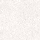 Casalgrande Padana Marmoker Bianco Vietnam Honed 120x120