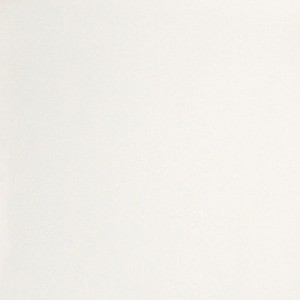 Casalgrande Padana Marmoker Canova Honed 120x120 płytki gresowe monokolor