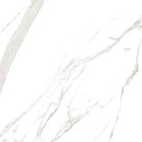Casalgrande Padana Marmoker Statuario Grigio Lucido 120x120