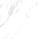 Casalgrande Padana Marmoker Statuario Grigio Lucido 120x120