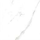 Casalgrande Padana Marmoker Statuario Grigio Lucido 120x120