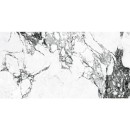 Vives Marblelous Arue-R Pulido 79,3x179,3