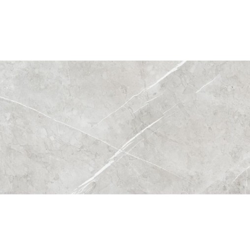 Azuvi Aran Light Grey Matt 60x120