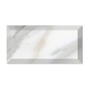 Vives Wilson Blanco 10x20