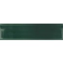 Equipe Vibe In Newport Green 6,5x20