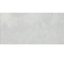 Vives Salerno-R Gris 60x120