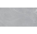 Vives Salerno-R Ceniza 60x120