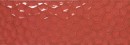 APE/Carmen Allegra Tina Red Rect 31,6x90