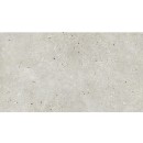 APE Amia Grigio Rect 60x120