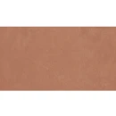 APE Argillae Coral Rect 60x120