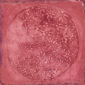 Vives Luca Carlo Granate-B 20x20 płytki ścienne