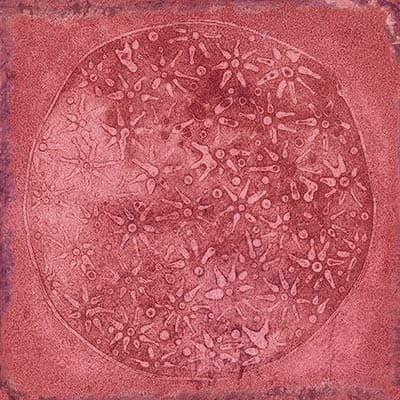 Vives Luca Carlo Granate-B 20x20