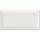 Metro White Matt 10x20