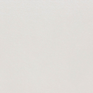 Saloni Intro Marfil 60x60 GYH670 płytka gresowa