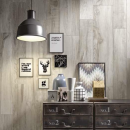 North Wind Grey 20,3x122,6