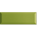 Ape Loft Oasis 10x30