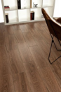 Fronda Roble 20x60
