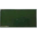 Equipe Evolution Victorian Green 7,5x15